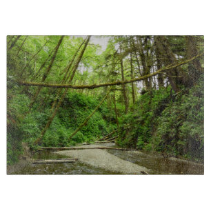 Fern Canyon I vid Redwood National Park