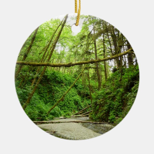Fern Canyon I vid Redwood National Park Julgransprydnad Keramik (Framsidan)
