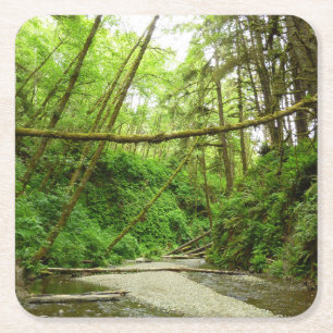 Fern Canyon I vid Redwood National Park Underlägg Papper Kvadrat