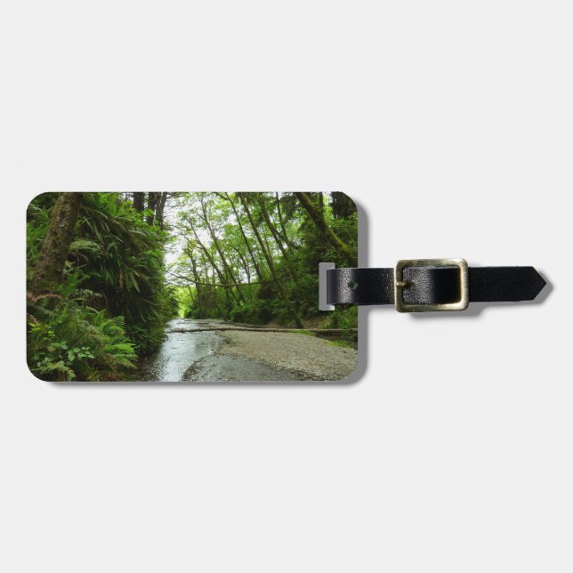 Fern Canyon II i nationalparken Redwood Bagagebricka (Horisontell Framsida)