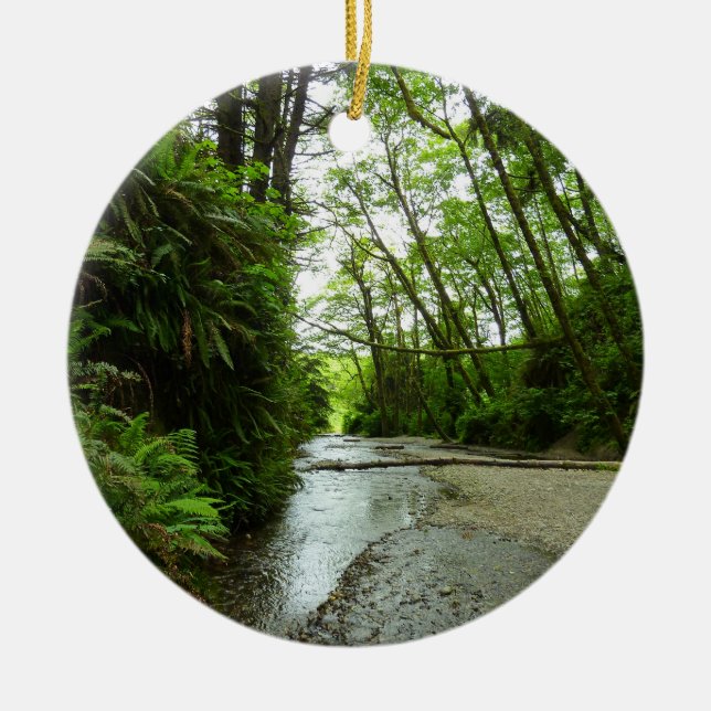 Fern Canyon II i nationalparken Redwood Julgransprydnad Keramik (Framsidan)