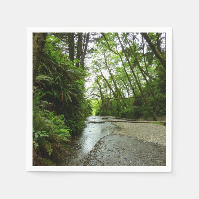 Fern Canyon II i nationalparken Redwood Pappersservett (Framsidan)