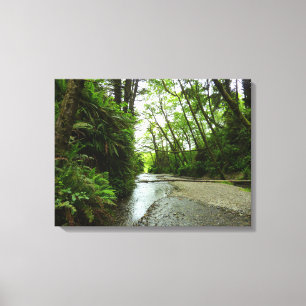 Fern Canyon II vid Redwood National Park Canvastryck