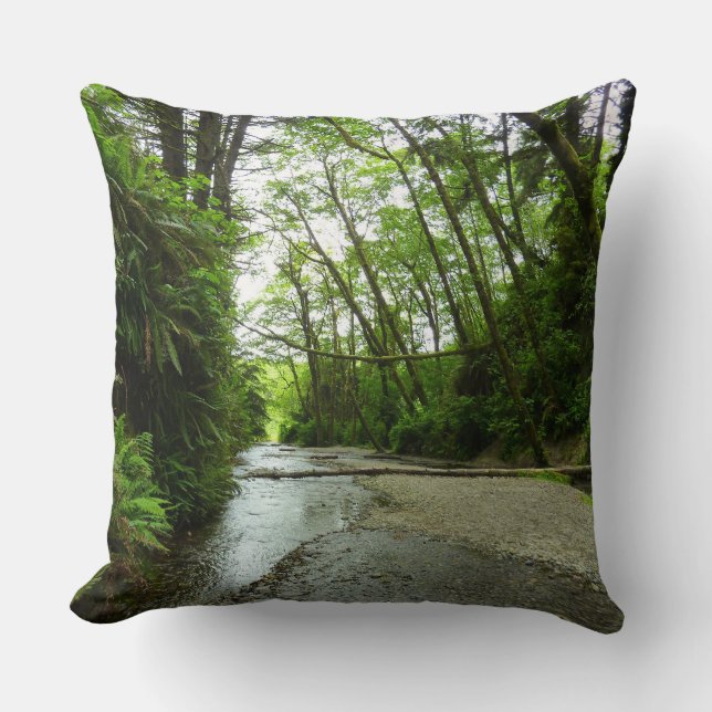 Fern Canyon II vid Redwood National Park Kudde (Framsida)