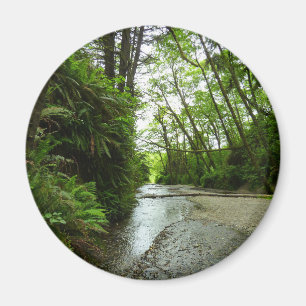 Fern Canyon II vid Redwood National Park Magnet