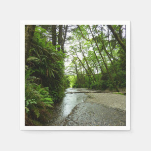 Fern Canyon II vid Redwood National Park Pappersservett