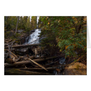 Fern Falls i Rocky Mountain National Park Hälsningskort