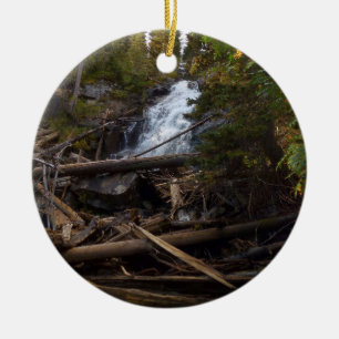 Fern Falls i Rocky Mountain National Park Julgransprydnad Keramik