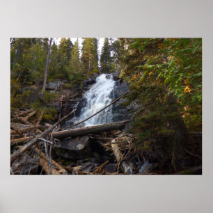 Fern Falls i Rocky Mountain National Park Poster