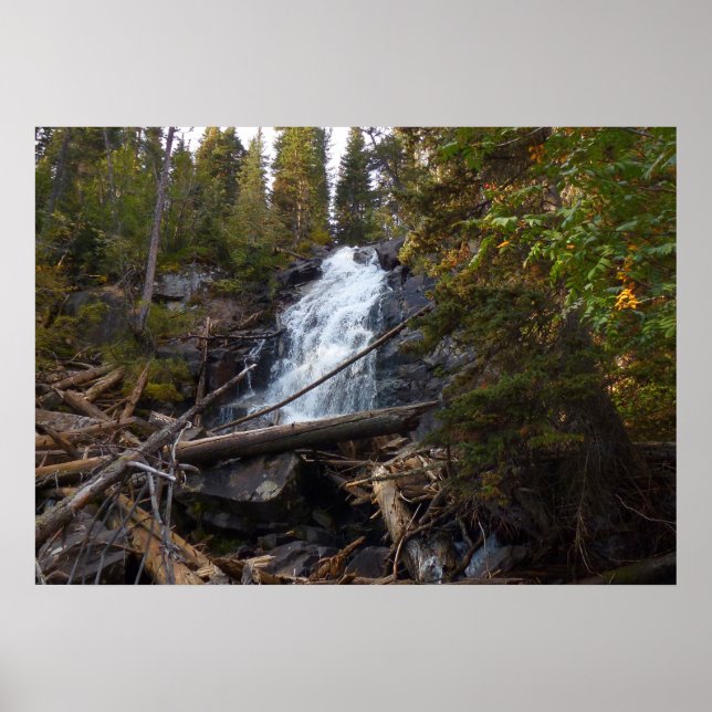 Fern Falls i Rocky Mountain National Park Poster (Framsidan)