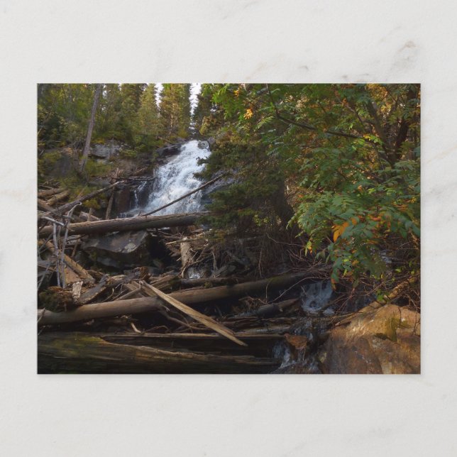 Fern Falls i Rocky Mountain National Park Vykort (Framsida)