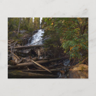 Fern Falls i Rocky Mountain National Park Vykort