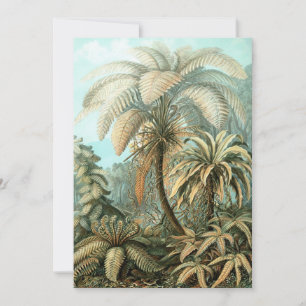 Fern (Filicinae) av Haeckel Inbjudningar