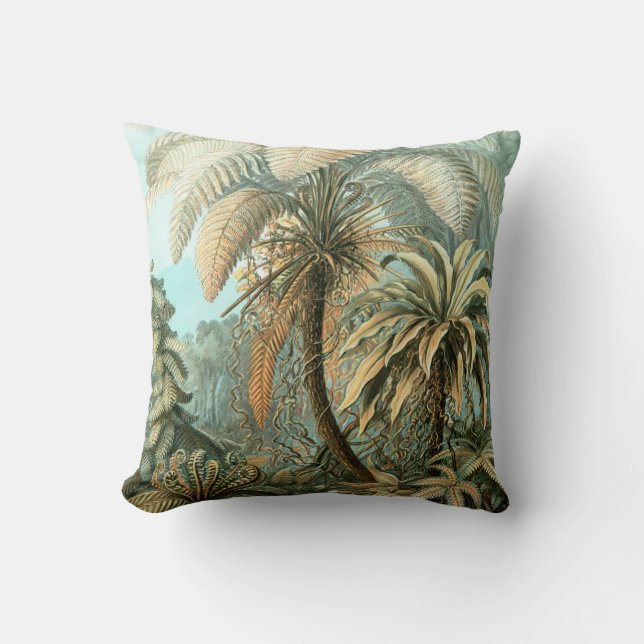 Fern (Filicinae) av Haeckel Kudde (Framsida)