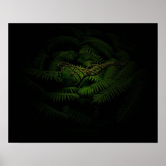 Fern Fine Art-fotografi Poster (Framsidan)