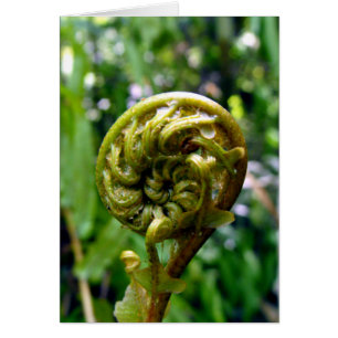 Fern Frond Hälsningskort