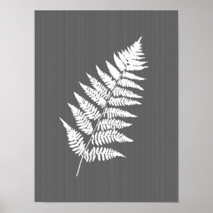 Fern Frond, vit på träkol-Grått / Grått Poster