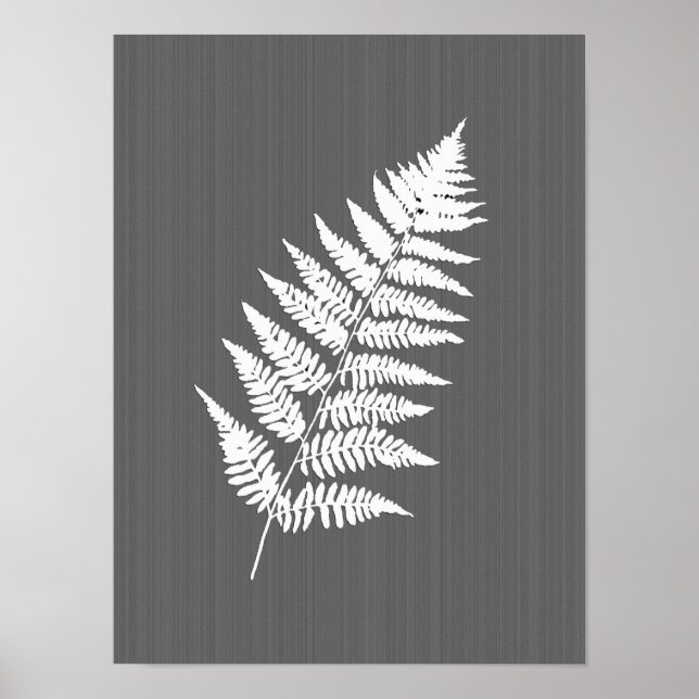 Fern Frond, vit på träkol-Grått / Grått Poster (Framsidan)