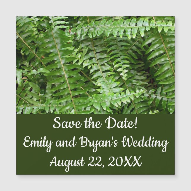 Fern Fronds I Green Nature (Framsida)