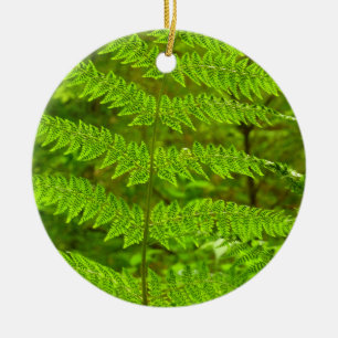 Fern Fronds III Grönt Nature Botanical Julgransprydnad Keramik