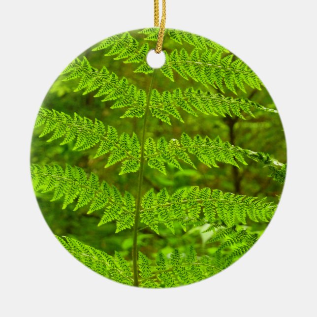 Fern Fronds III Grönt Nature Botanical Julgransprydnad Keramik (Framsidan)
