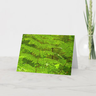 Fern Fronds III Grönt Nature Botanical Kort