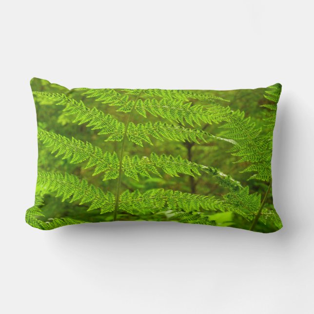 Fern Fronds III Grönt Nature Botanical Lumbarkudde (Framsida)