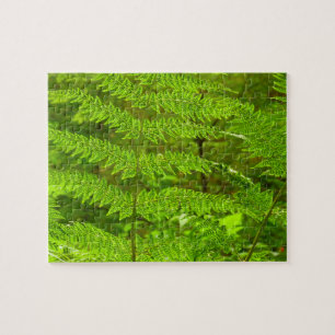 Fern Fronds III Grönt Nature Botanical Pussel