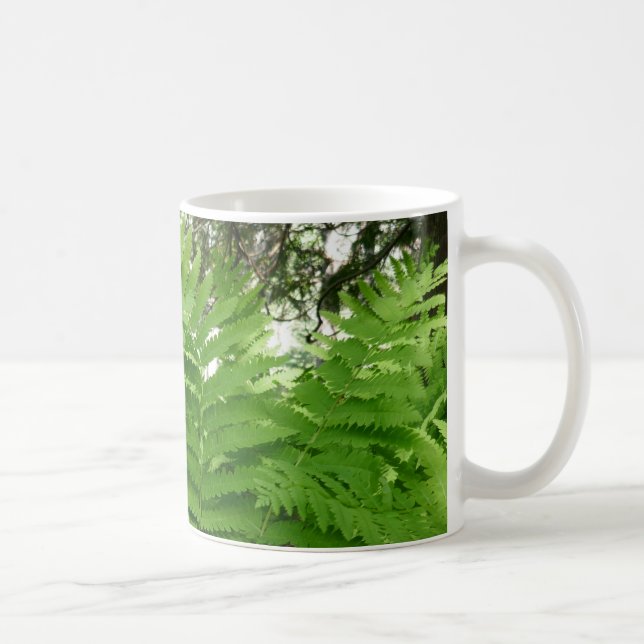Fern Fronds IV Grön Natur Botanisk Kaffemugg (Höger)
