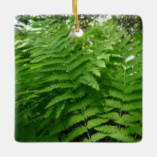 Fern Fronds IV-Grönt Nature Botanical Julgransprydnad Keramik