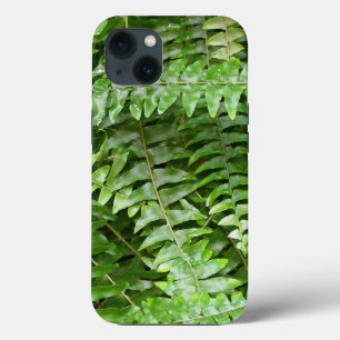 Fern Fronts I Grönt Nature