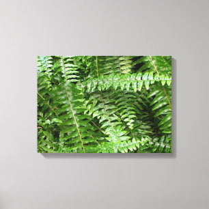 Fern Fronts I Grönt Nature Canvastryck