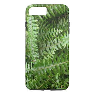 Fern Fronts I Grönt Nature