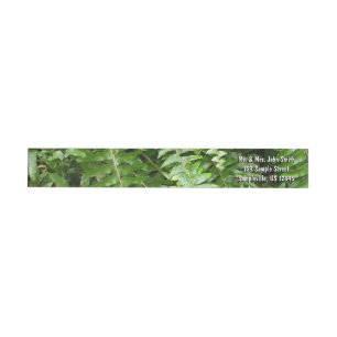Fern Fronts I Grönt Nature Etikettband