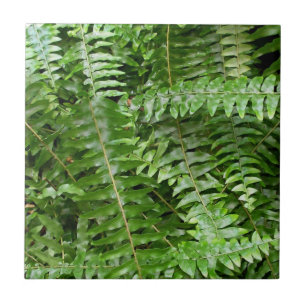 Fern Fronts I Grönt Nature Kakelplatta