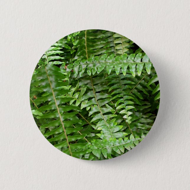 Fern Fronts I Grönt Nature Knapp (Framsida)