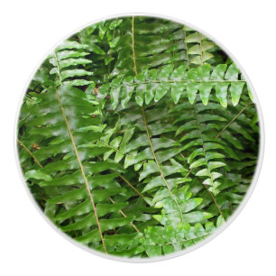 Fern Fronts I Grönt Nature Knopp