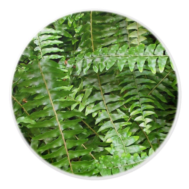 Fern Fronts I Grönt Nature Knopp (Framsidan)