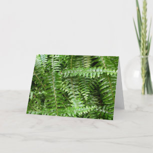 Fern Fronts I Grönt Nature Kort