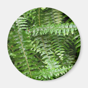 Fern Fronts I Grönt Nature Magnet