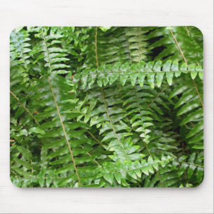 Fern Fronts I Grönt Nature Musmatta