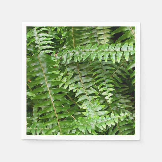 Fern Fronts I Grönt Nature Pappersservett (Framsidan)