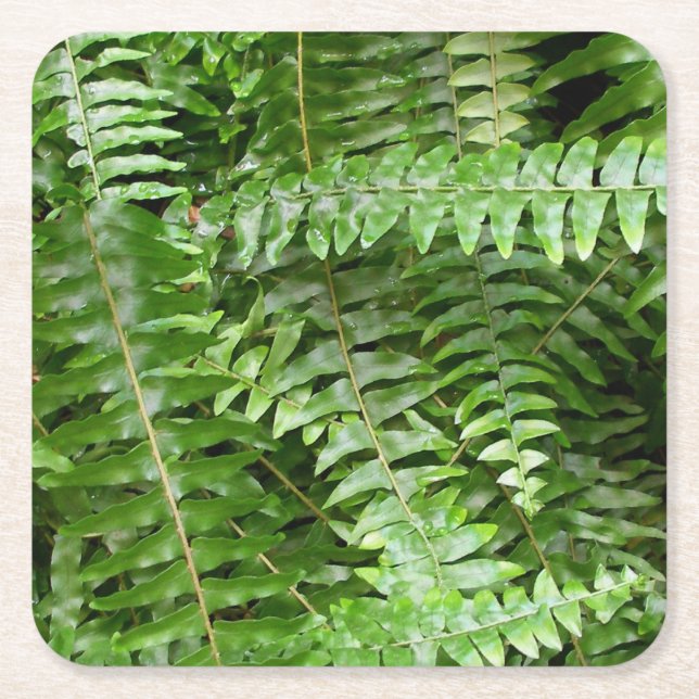 Fern Fronts I Grönt Nature Underlägg Papper Kvadrat (Framsidan)