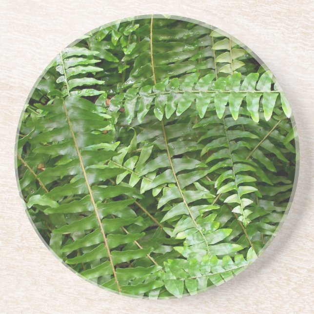 Fern Fronts I Grönt Nature Underlägg Sandsten (Framsidan)