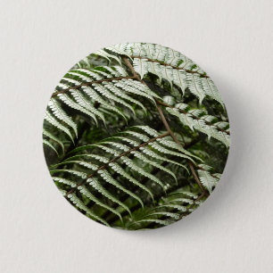 Fern Fronts II Mörk grönt natur Knapp