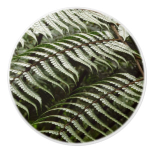 Fern Fronts II Mörk grönt natur Knopp