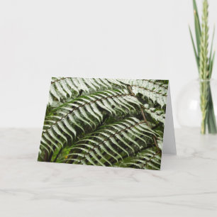Fern Fronts II Mörk grönt natur Kort