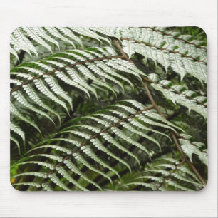 Fern Fronts II Mörk grönt natur Musmatta