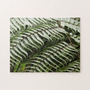 Fern Fronts II Mörk grönt natur Pussel