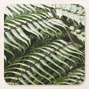 Fern Fronts II Mörk grönt natur Underlägg Papper Kvadrat